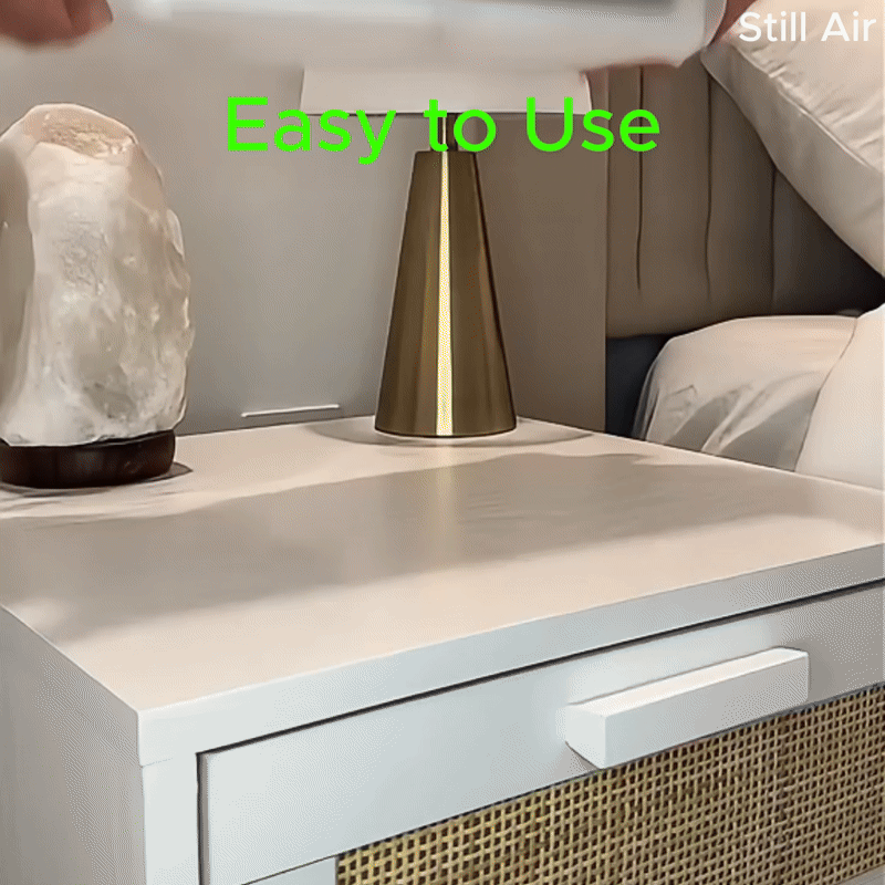 Still Air® Fireplace Aroma Diffuser and Humidifier